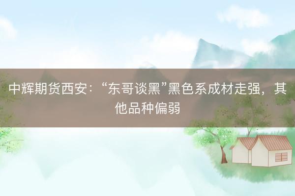 中辉期货西安：“东哥谈黑”黑色系成材走强，其他品种偏弱
