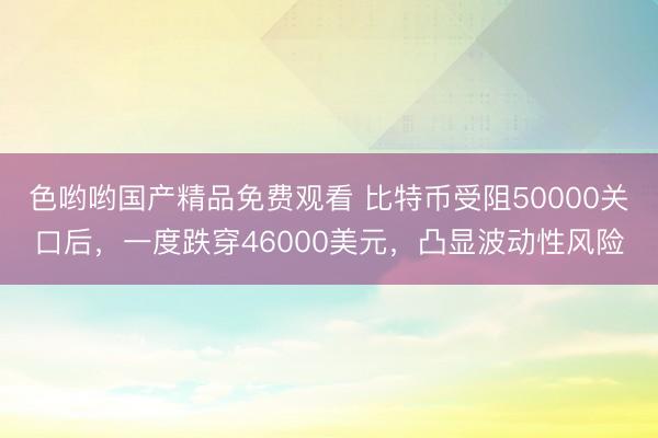 色哟哟国产精品免费观看 比特币受阻50000关口后，一度跌穿46000美元，凸显波动性风险