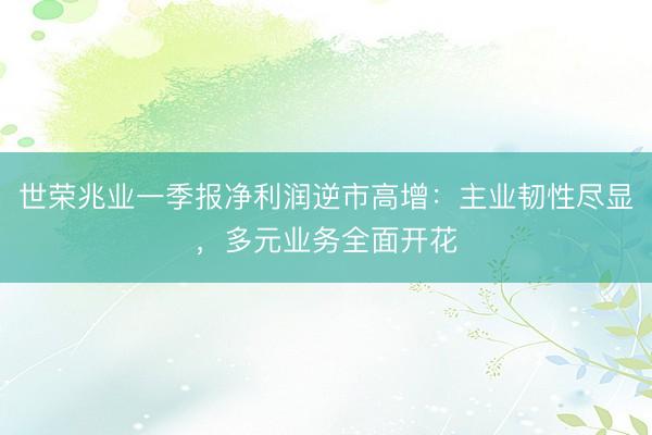 世荣兆业一季报净利润逆市高增：主业韧性尽显，多元业务全面开花