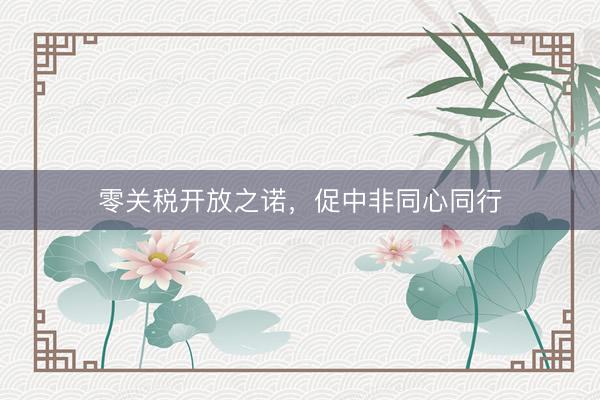 零关税开放之诺，促中非同心同行