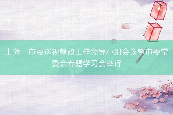 上海​市委巡视整改工作领导小组会议暨市委常委会专题学习会举行