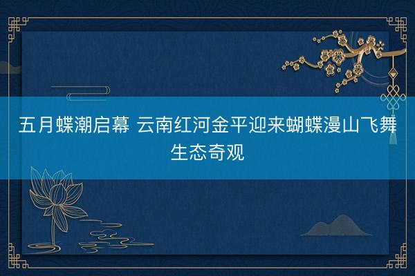 五月蝶潮启幕 云南红河金平迎来蝴蝶漫山飞舞生态奇观