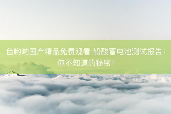 色哟哟国产精品免费观看 铅酸蓄电池测试报告：你不知道的秘密！