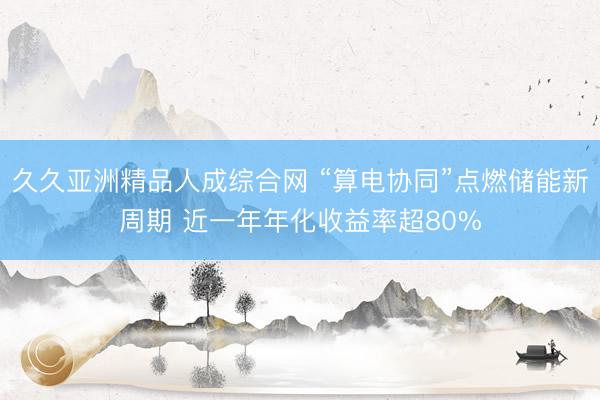 久久亚洲精品人成综合网 “算电协同”点燃储能新周期 近一年年化收益率超80%