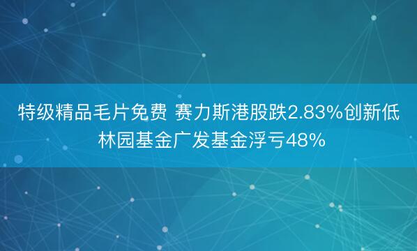 特级精品毛片免费 赛力斯港股跌2.83%创新低 林园基金广发基金浮亏48%