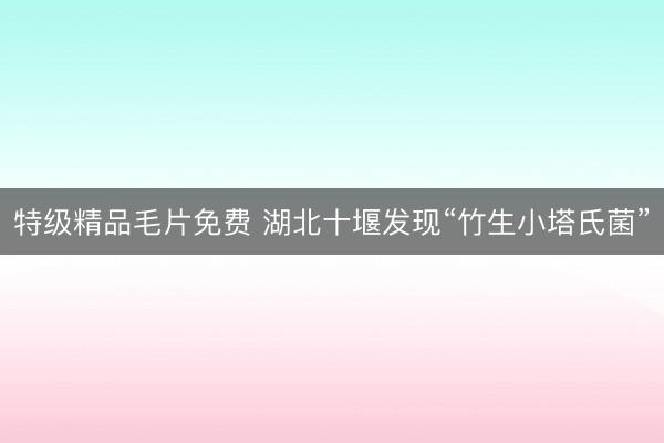 特级精品毛片免费 湖北十堰发现“竹生小塔氏菌”