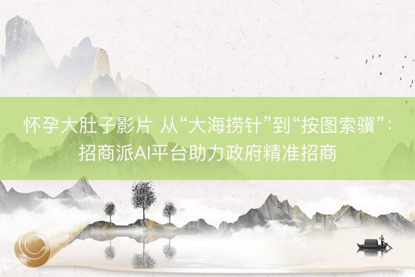 怀孕大肚子影片 从“大海捞针”到“按图索骥”：招商派AI平台助力政府精准招商