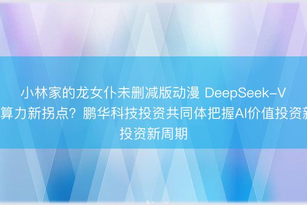 小林家的龙女仆未删减版动漫 DeepSeek-V4引领算力新拐点？鹏华科技投资共同体把握AI价值投资新周期