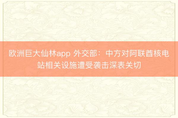欧洲巨大仙林app 外交部：中方对阿联酋核电站相关设施遭受袭击深表关切