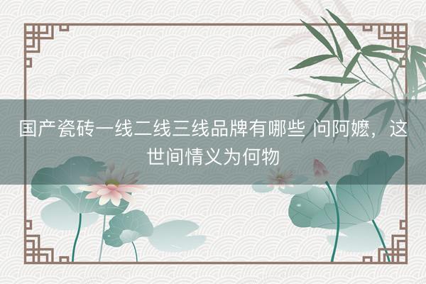 国产瓷砖一线二线三线品牌有哪些 问阿嬷，这世间情义为何物
