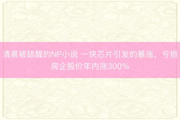 清晨被舔醒的NP小说 一块芯片引发的暴涨，亏损房企股价年内涨300%