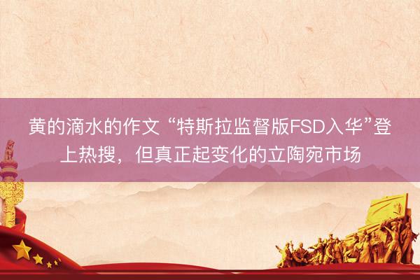 黄的滴水的作文 “特斯拉监督版FSD入华”登上热搜，但真正起变化的立陶宛市场