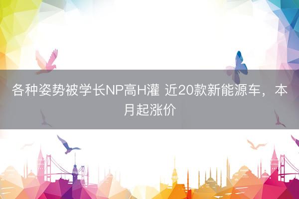 各种姿势被学长NP高H灌 近20款新能源车，本月起涨价