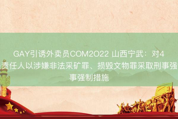 GAY引诱外卖员COM2O22 山西宁武：对4名相关责任人以涉嫌非法采矿罪、损毁文物罪采取刑事强制措施