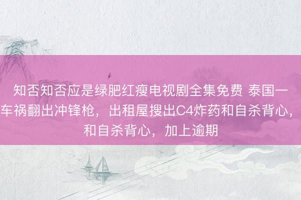 知否知否应是绿肥红瘦电视剧全集免费 泰国一中国男子车祸翻出冲锋枪，出租屋搜出C4炸药和自杀背心，加上逾期