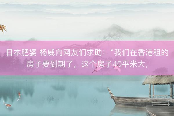 日本肥婆 杨威向网友们求助:“我们在香港租的房子要到期了,这个房子40平米大,