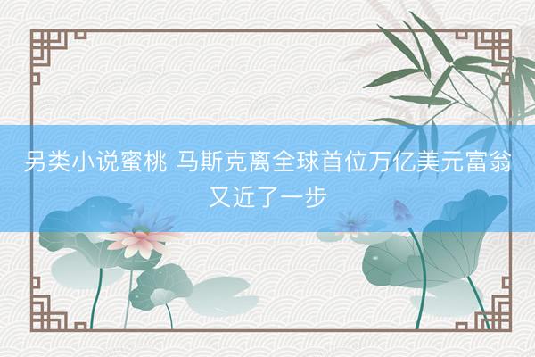 另类小说蜜桃 马斯克离全球首位万亿美元富翁又近了一步