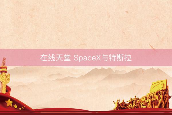 在线天堂 SpaceX与特斯拉