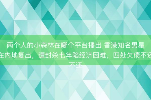 两个人的小森林在哪个平台播出 香港知名男星在内地复出，遭封杀七年陷经济困难，四处欠债不还