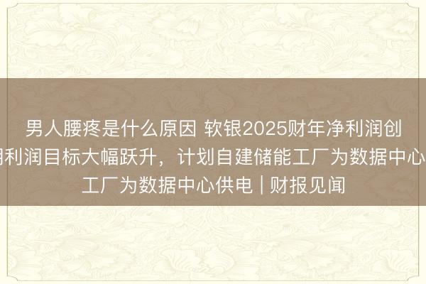 男人腰疼是什么原因 软银2025财年净利润创历史新高，中期利润目标大幅跃升，计划自建储能工厂为数据中心供电 | 财报见闻