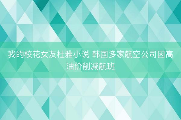 我的校花女友杜雅小说 韩国多家航空公司因高油价削减航班
