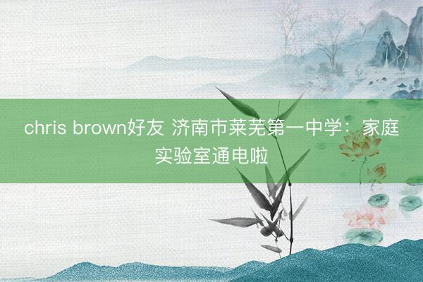 chris brown好友 济南市莱芜第一中学：家庭实验室通电啦