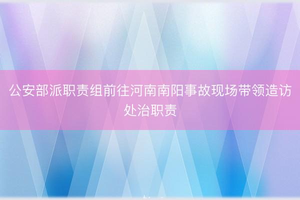 公安部派职责组前往河南南阳事故现场带领造访处治职责