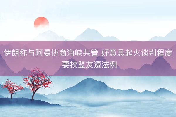 伊朗称与阿曼协商海峡共管 好意思起火谈判程度 要挟盟友遵法例