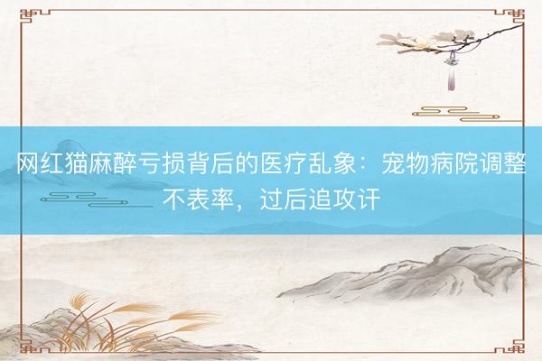 网红猫麻醉亏损背后的医疗乱象：宠物病院调整不表率，过后追攻讦