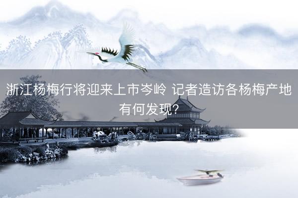 浙江杨梅行将迎来上市岑岭 记者造访各杨梅产地有何发现?