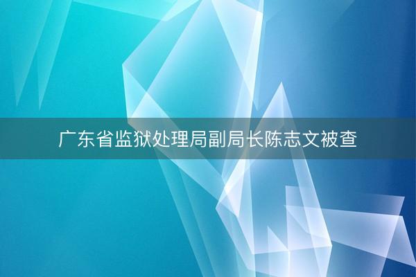 广东省监狱处理局副局长陈志文被查