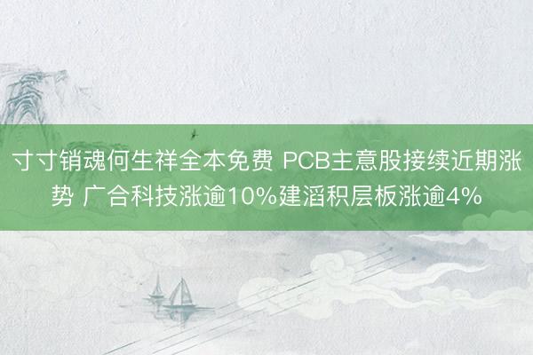 寸寸销魂何生祥全本免费 PCB主意股接续近期涨势 广合科技涨逾10%建滔积层板涨逾4%