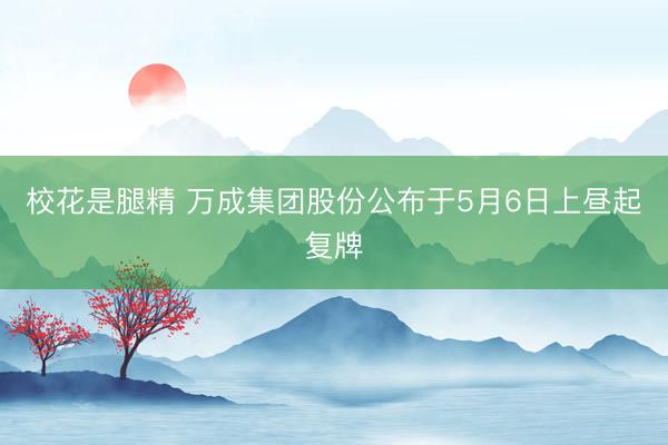 校花是腿精 万成集团股份公布于5月6日上昼起复牌