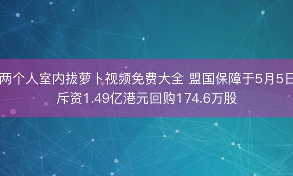 两个人室内拔萝卜视频免费大全 盟国保障于5月5日斥资1.49亿港元回购174.6万股