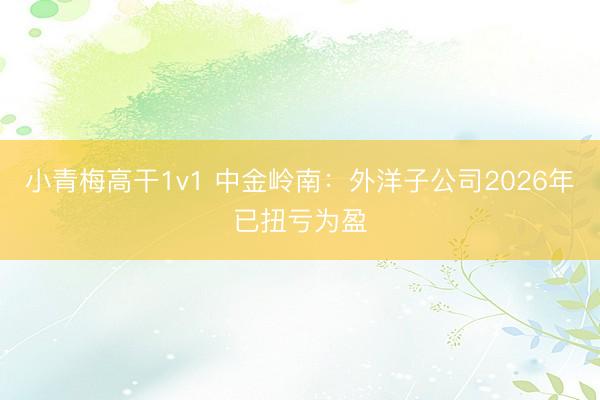 小青梅高干1v1 中金岭南:外洋子公司2026年已扭亏为盈