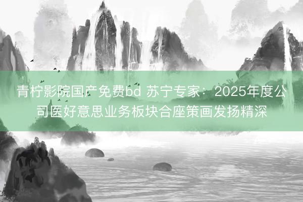 青柠影院国产免费bd 苏宁专家:2025年度公司医好意思业务板块合座策画发扬精深