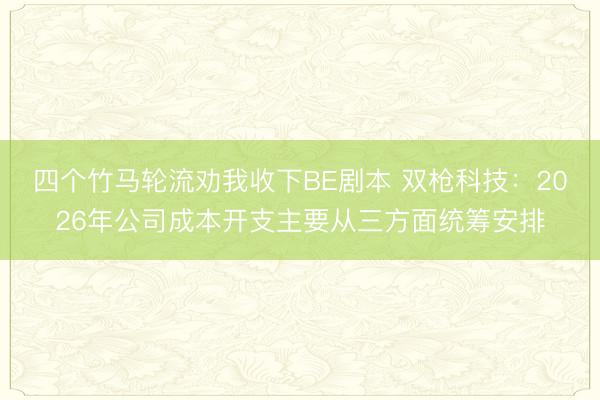 四个竹马轮流劝我收下BE剧本 双枪科技:2026年公司成本开支主要从三方面统筹安排