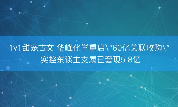 1v1甜宠古文 华峰化学重启