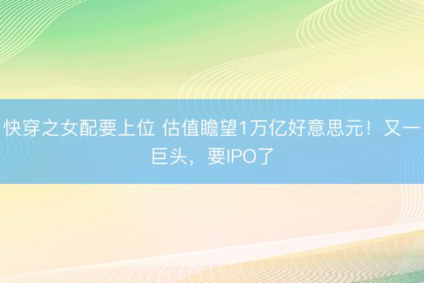 快穿之女配要上位 估值瞻望1万亿好意思元！又一巨头，要IPO了