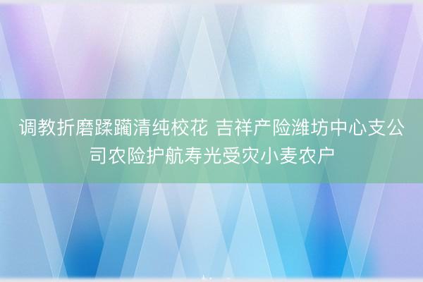 调教折磨蹂躏清纯校花 吉祥产险潍坊中心支公司农险护航寿光受灾小麦农户