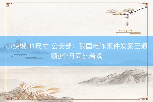 小辣椒H1尺寸 公安部:我国电诈案件发案已通顺8个月同比着落