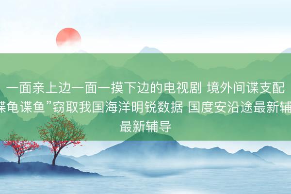 一面亲上边一面一摸下边的电视剧 境外间谍支配“谍龟谍鱼”窃取我国海洋明锐数据 国度安沿途最新辅导