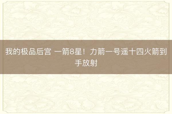 我的极品后宫 一箭8星！力箭一号遥十四火箭到手放射