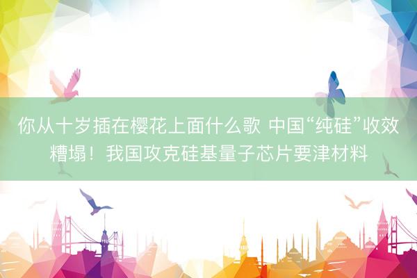 你从十岁插在樱花上面什么歌 中国“纯硅”收效糟塌！我国攻克硅基量子芯片要津材料