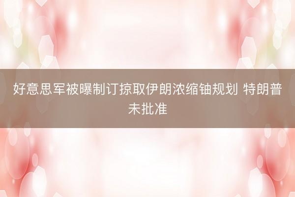好意思军被曝制订掠取伊朗浓缩铀规划 特朗普未批准
