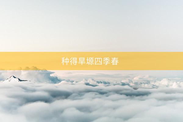 种得旱塬四季春 