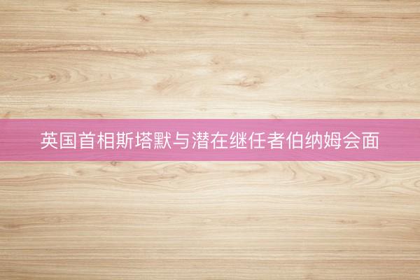 英国首相斯塔默与潜在继任者伯纳姆会面
